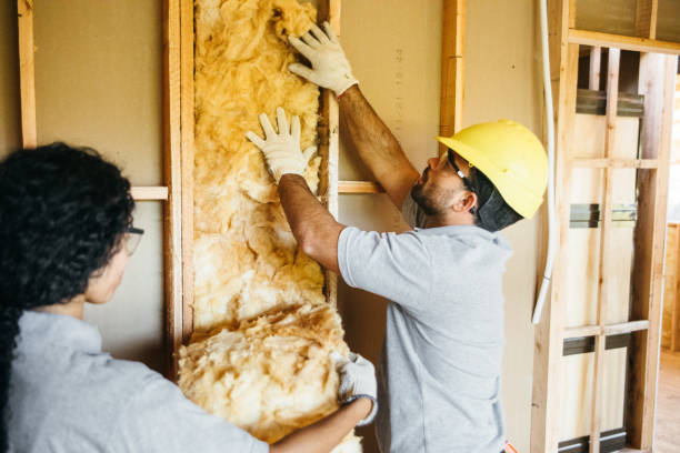 Best Insulation for New Construction  in Chinchilla, PA